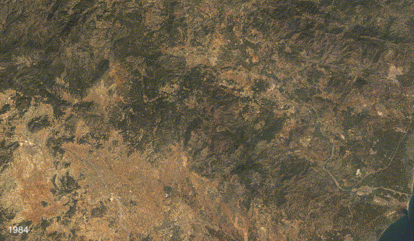 Annual cloud-free Landsat observations of the Palancia catchment and Marjal dels Moros (1984–2026)