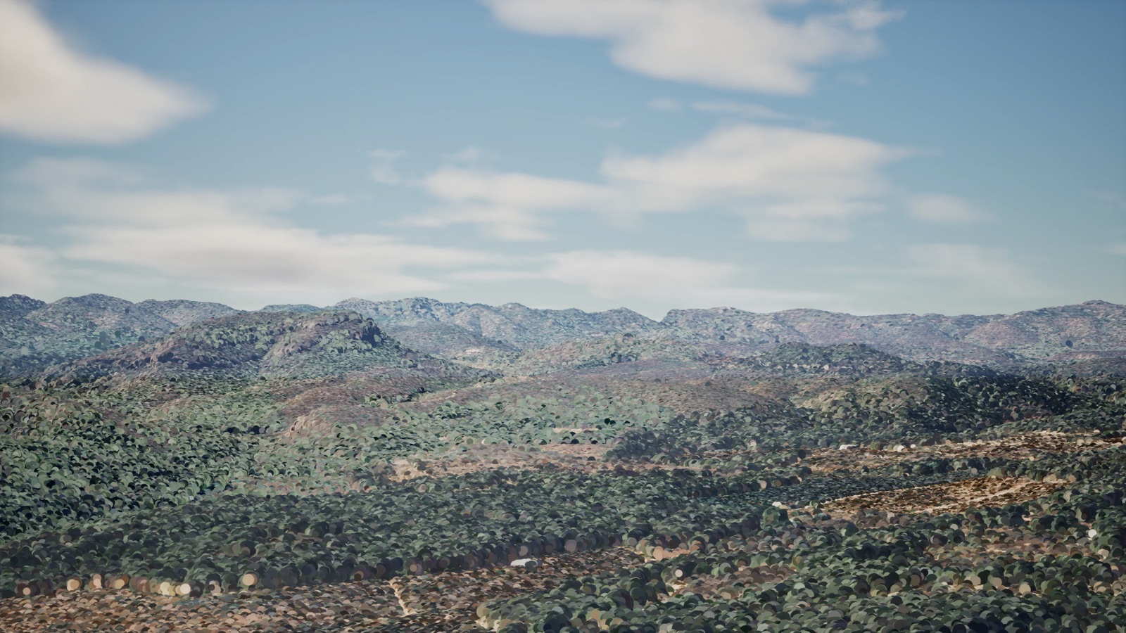 Proposal section 07 visual